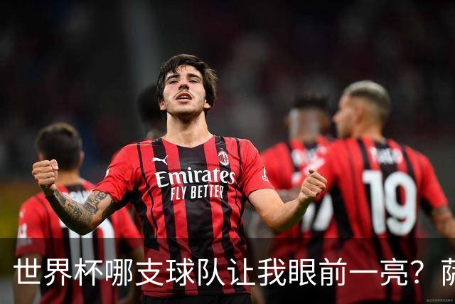 世界杯哪支球队让我眼前一亮？萨内蒂：日本和摩洛哥绝对是代表
